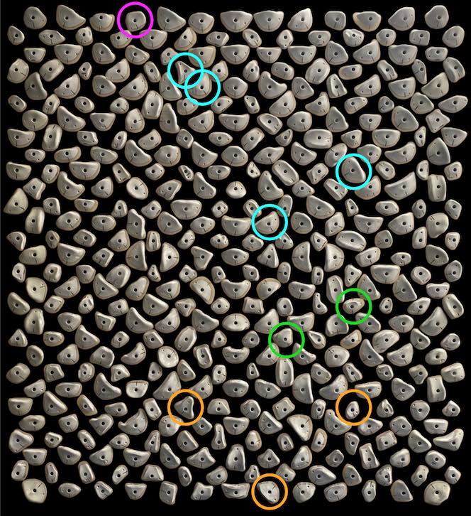 Kilterboard - Griffset Homewall Layout 10x10 - Fullride