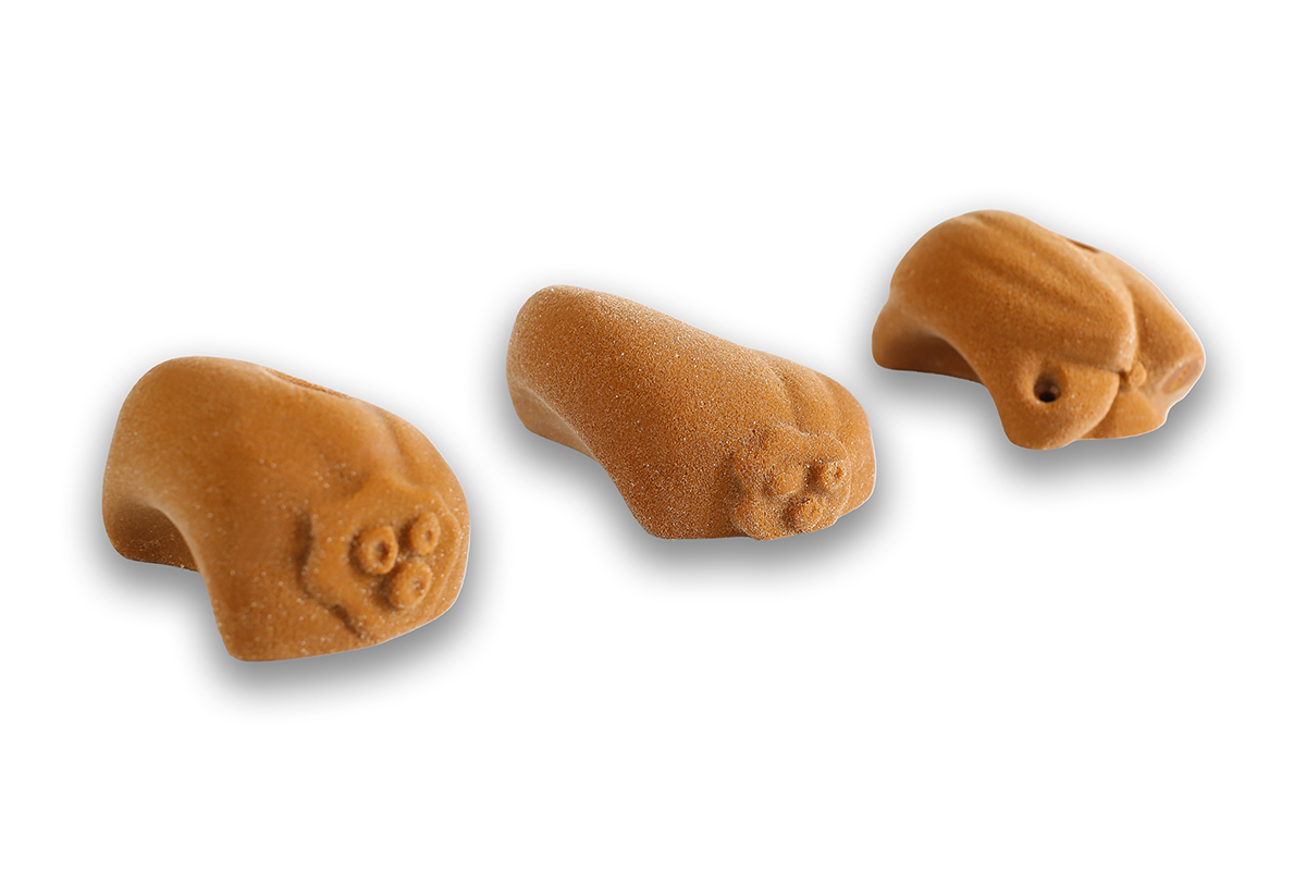 360 - Kinder Kokosnuesse 2