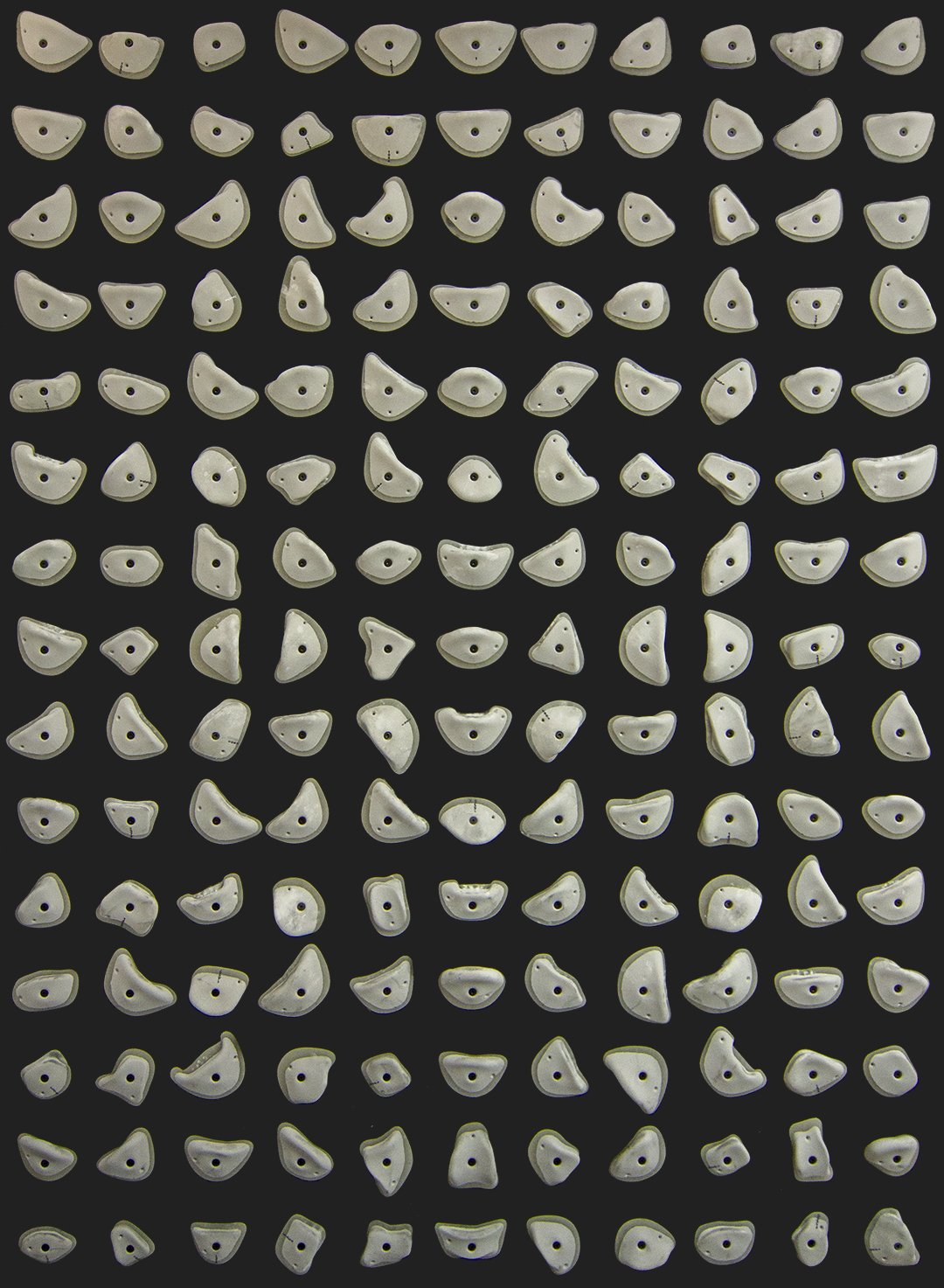 Kilterboard - Griffset Homewall Layout 7x10 - Mainline