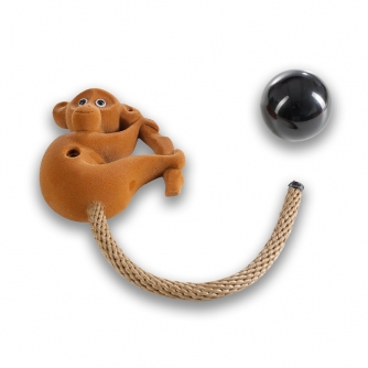 360 - Kinder Affen 2