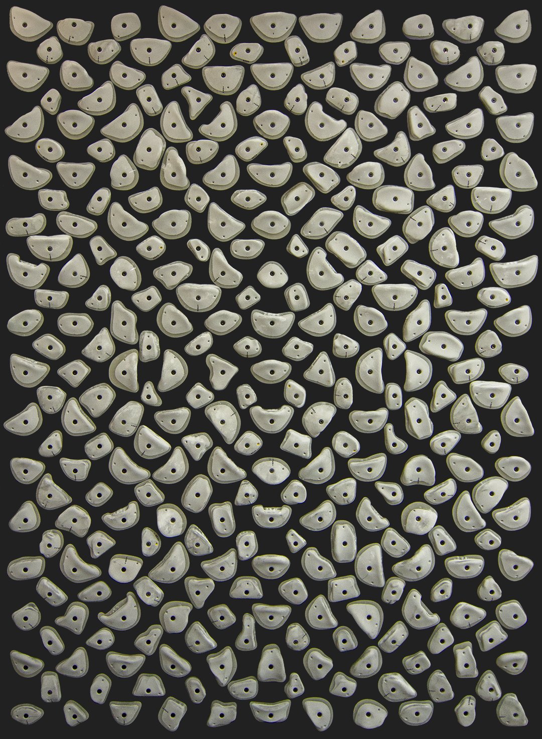 Kilterboard - Griffset Homewall Layout 7x10 - Fullride