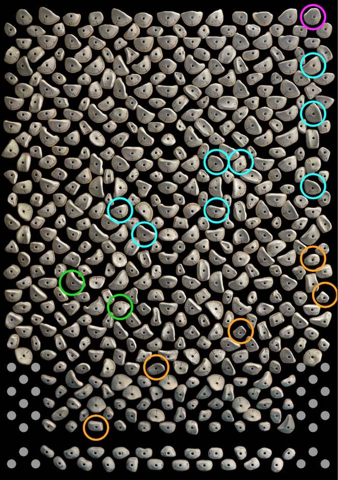 Kilterboard - Griffset+LED Homewall Layout 10x12 - Fullride