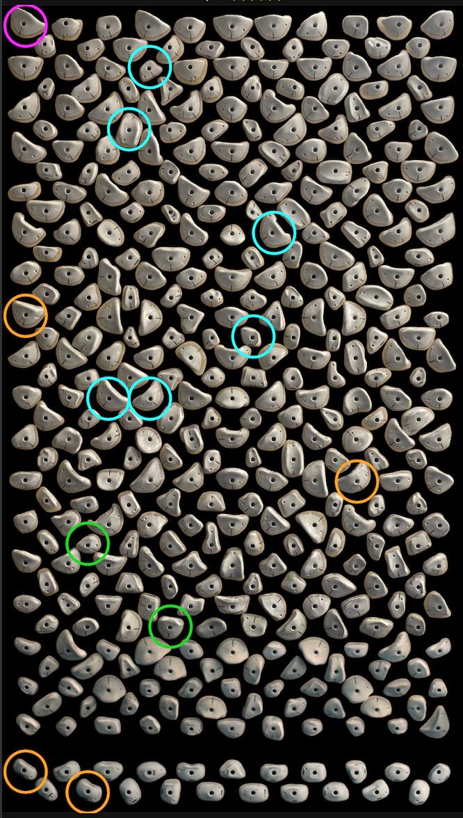 Kilterboard - Griffset+LED Homewall Layout 8x12 - Fullride