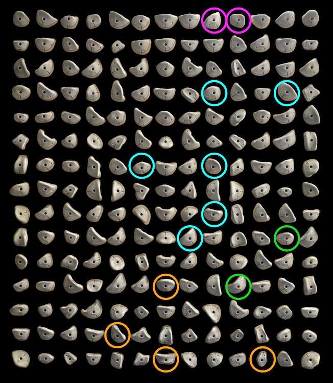 Kilterboard - Griffset+LED Homewall Layout 10x10 - Mainline