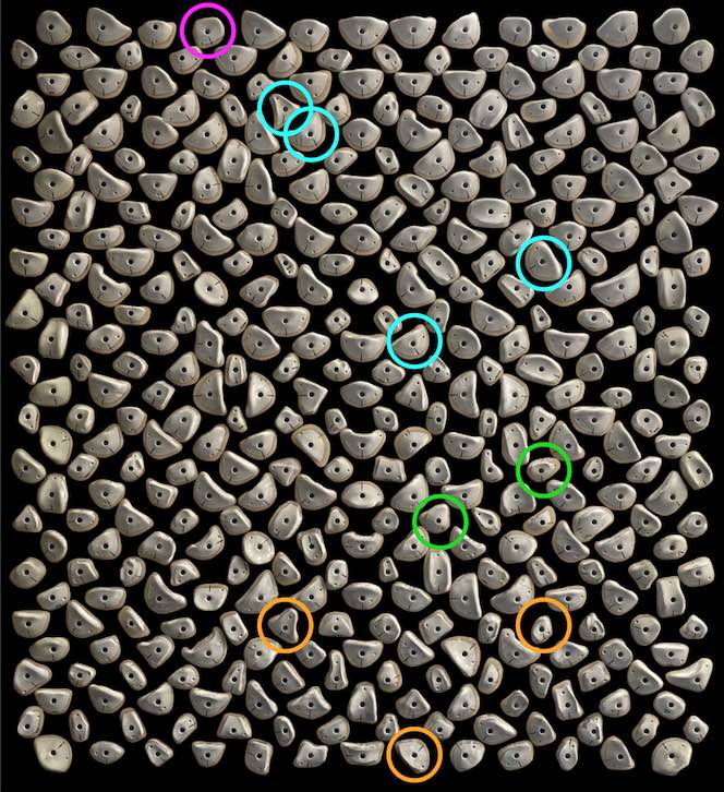 Kilterboard - Griffset+LED Homewall Layout 10x10 - Fullride