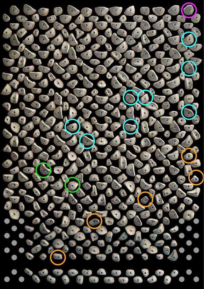 Kilterboard - Griffset Homewall Layout 10x12 - Fullride