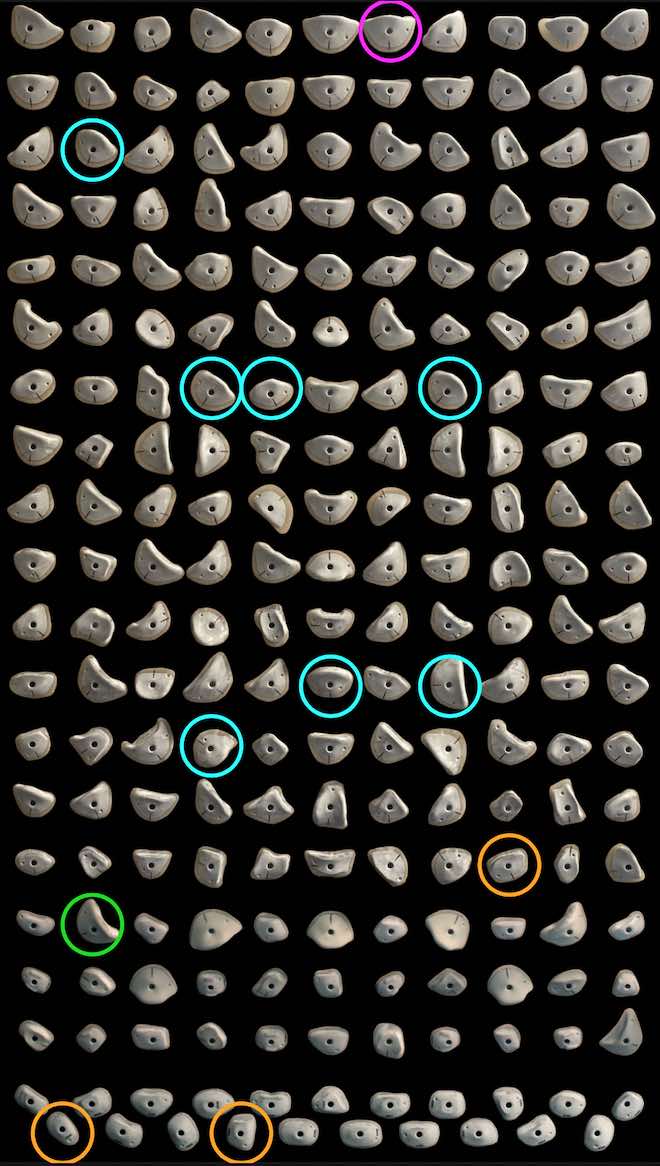 Kilterboard - Griffset Homewall Layout 8x12 - Mainline