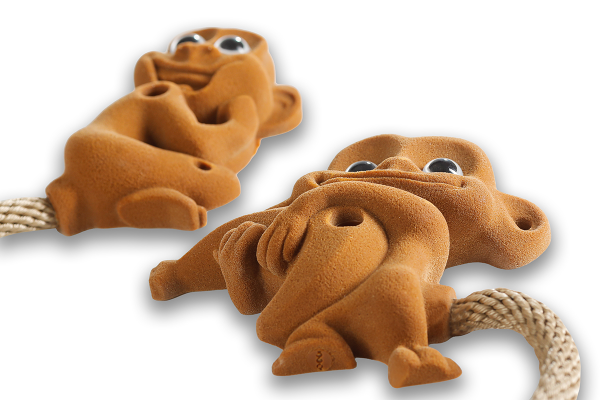 360 - Kinder Affen 7